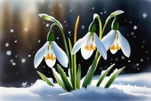 AI generated First flowers. Spring snowdrops bloom in the snow. photo