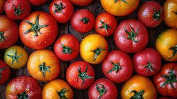 AI generated Tomato background. fresh tomatoes creatively arranged, an artistic layout to showcase color and shape. photo