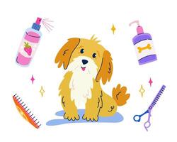 Cute sitting dog in flat cartoon style. Set of equipment and cosmetics for pet grooming. Vector isolated illustration for sticker, banner, poster, postcard