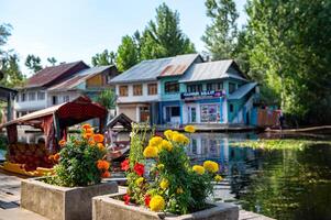 Dal Lake and the beautiful mountain range in the background, in the summer Boat Trip, of city Srinagar Kashmir India. photo