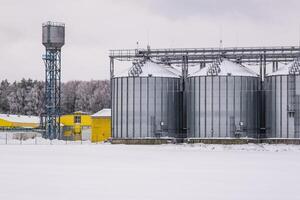 silos and agro-processing plant for processing for drying cleaning and storage and seed preparation complex in snow of winter field photo