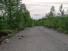 un suciedad la carretera en el tundra en el verano. el la carretera desde el escombros foto