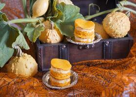 mini calabaza pasteles de queso en un antecedentes de calabazas, otoño, naranja color comida foto