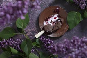 melted raspberry ice cream in chocolate on a wooden stick on a dark table photo