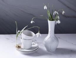 still life with spring white snowdrops and a porcelain cups photo