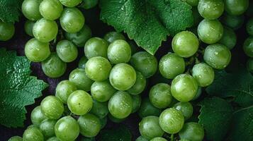 ai generado un racimo de Fresco verde uvas, un artístico arreglo para estético apelar. uvas antecedentes. foto