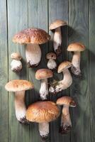 pattern of a porcini mushrooms on a wooden table from above, autumn harvest photo