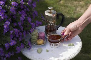 outdoor picnic with a cup of herbal tea and macaron cakes, a woman hand takes tea cup photo