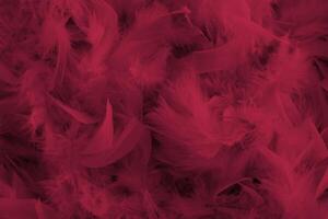 background of magenta feathers beautiful tactile soft surfaces and texture photo