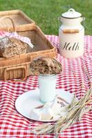 picnic with fresh bread and milk on a red checkered bedspread on a green lawn photo