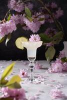 Spring still life with a glass of cold Margarita with lime, pink sakura flowers photo