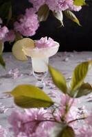 Spring still life with a glass of cold Margarita with lime, pink sakura flowers photo