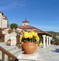 amarillo flores en Varlamm santo griego ortodoxo monasterio foto