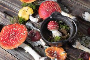 beautiful orange-red fly agaric on a wooden table ,autumn harvest of poisonous mushrooms photo