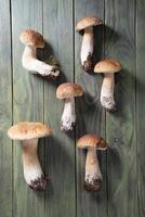 pattern of a porcini mushrooms on a wooden table from above, autumn harvest photo