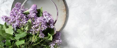 branch of purple lilac on silver plate on a cement gray background with space for text concept of early spring flowers photo