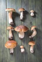 pattern of a porcini mushrooms on a wooden table from above, autumn harvest photo