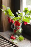 a bouquet of branches with red currant berries in a glass vase on the windowsill photo