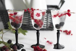 transparent gin and tonic with ice and fresh red currants and blackberries photo