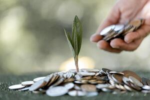 mujer manos participación moneda dinero con creciente planta en el público parque para préstamos a planificado inversión en el futuro concepto. planificación presupuesto, inversión estrategia, ahorro dinero, comprobación finanzas foto