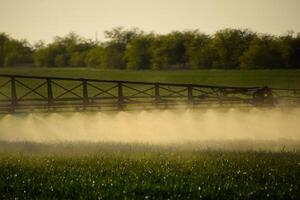 Jets of liquid fertilizer from the tractor sprayer. photo