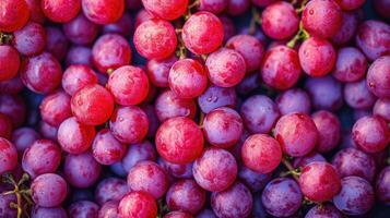 AI generated Red Grapes background. Neatly arranged clusters of red grapes, an artistic arrangement to highlight the color and beauty. photo
