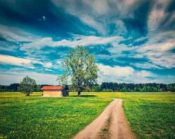 Summer meadow in Germany photo