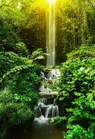 Tropical waterfall in jungle photo