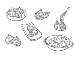 Hand drawn contour doodle set with groups of figs. Sketchy black outline cut and whole fruits on cutting board, on plates on white background. Ideal for coloring pages, tattoo, pattern vector