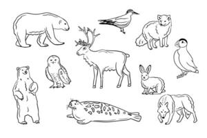 Contour hand drawn arctic animals and birds set. Doodle outline polar bear, reindeer, snow owl, Atlantic puffin on white background. Ideal for coloring pages, tattoo, pattern vector