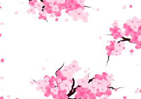 Sweet valentines frame with pink sakura flowers. png