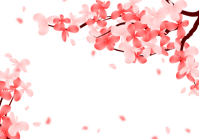 Pink Cherry Blossom Background, Valentines Frame with sakura branch. Cute Falling petals Border. png