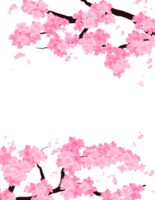 Pink Sakura Flowers Frame, Cherry Bloom Border. Falling Petals Background. png