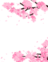 Pink Sakura Flowers Frame, Spring Cherry Bloom Branch Background. png