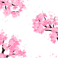 Pink Sakura Bloom Frame, Cherry Blossom Branch Border. Falling Petals Background. png