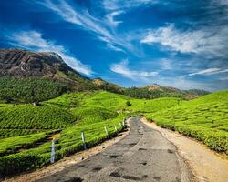 la carretera en té plantaciones, India foto