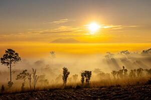 Landscape of Thung Salaeng Luang National Park Phetchabun Province Beautiful nature of sunrise and morning fog in the savannah in winter season thailand. photo