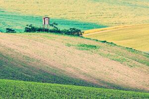 Moravian rolling landscape with shack photo