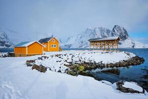 Rorbu house and drying flakes for stockfish cod fish in winter. Lofoten islands, Norway photo