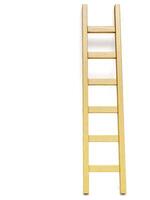 Wooden ladder near white wall photo