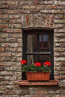 Window with flowers in Europe. Bruges Brugge, Belgium photo