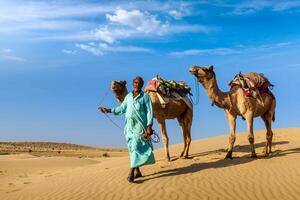 Cameleer camel driver with camels in dunes of Thar desert photo