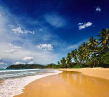 Idyllic beach. Sri Lanka photo