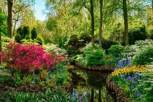 Keukenhof flower garden. Lisse, the Netherlands. photo