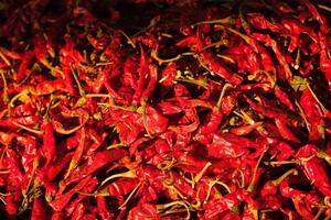 Red spicy chili peppers close up photo