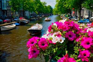 Amsterdam canal and flowers photo