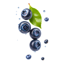 AI generated Falling blueberries with water drop isolated png