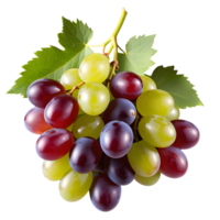 ai generado uvas aislado en transparente antecedentes png