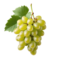 AI generated Green Grapes isolated png