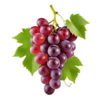ai generato uva isolato su trasparente sfondo png